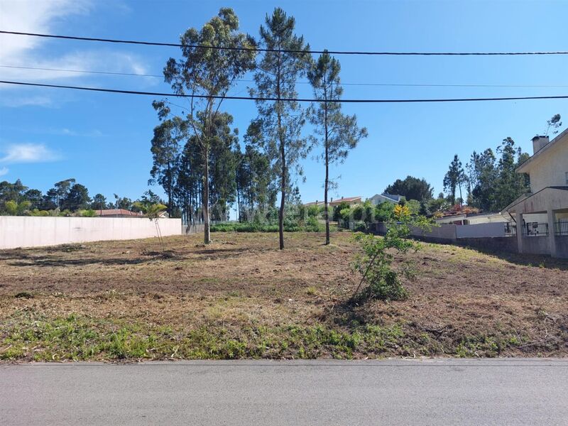 Land for construction Argoncilhe Santa Maria da Feira - fruit trees