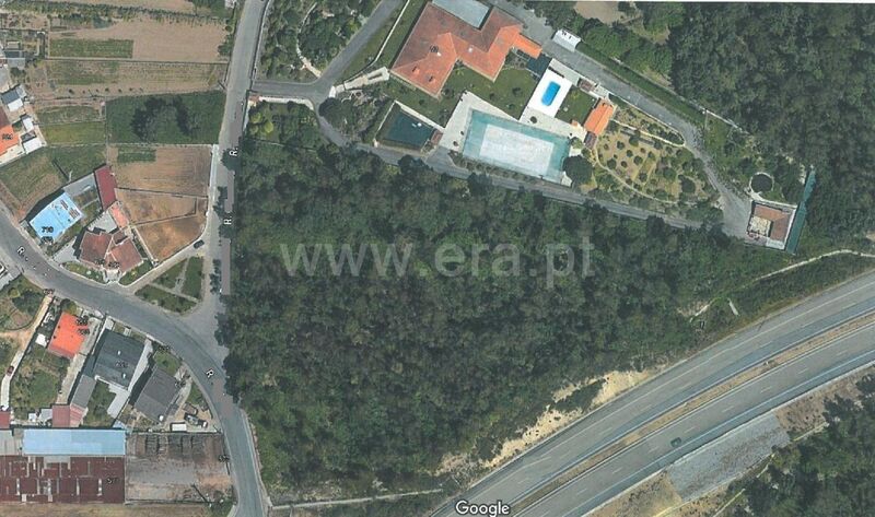 Terreno com 4632m2 Sanguedo Santa Maria da Feira para comprar
