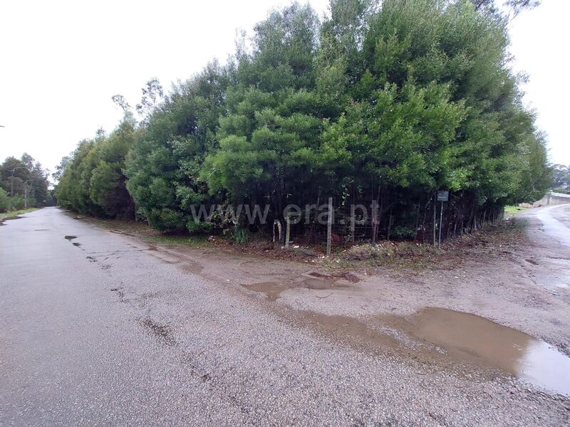 Terreno para construção Grijó Vila Nova de Gaia