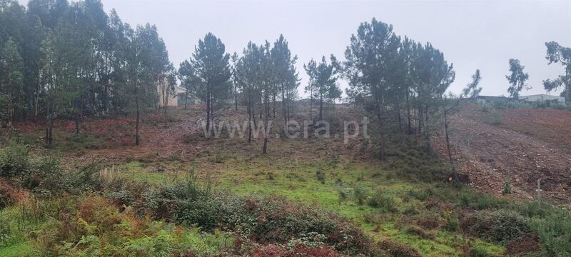 Land with 6036sqm Olival Vila Nova de Gaia