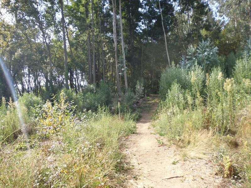 Terreno Agrícola com 4450m2 Pedroso Vila Nova de Gaia