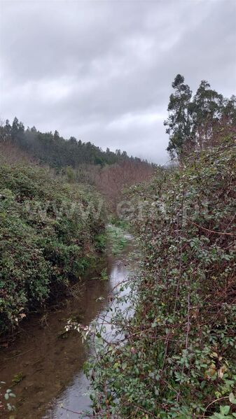 Terreno com 4400m2 Melres Gondomar - árvores de fruto