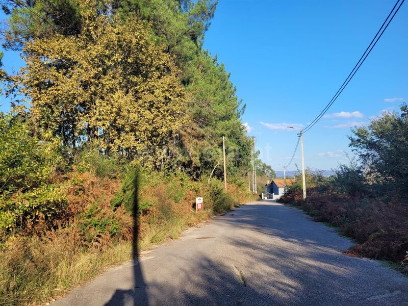 Terreno com 6400m2 Vila Nova de Gaia