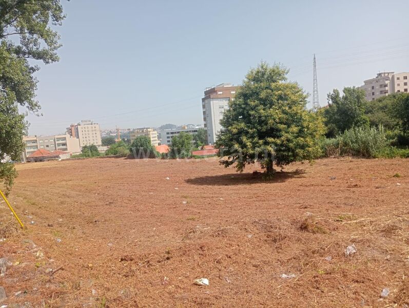 Terreno com 2925m2 Oliveira do Douro Vila Nova de Gaia