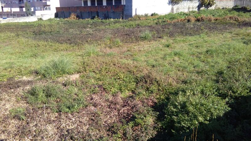 Land with 3900sqm Gervide Oliveira do Douro Vila Nova de Gaia