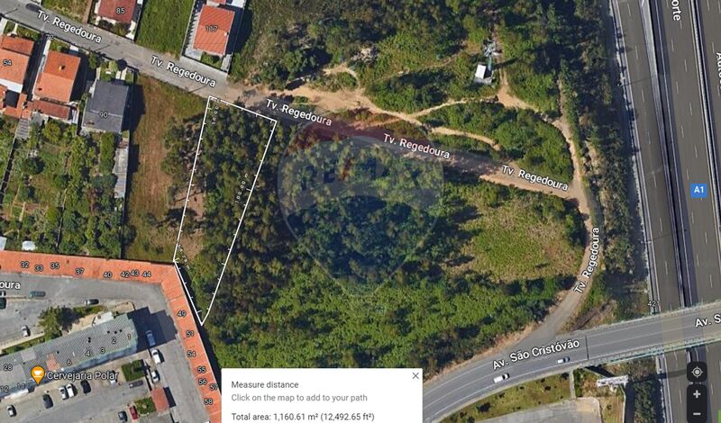 Terreno Rústico para construção Nogueira da Regedoura Santa Maria da Feira à venda