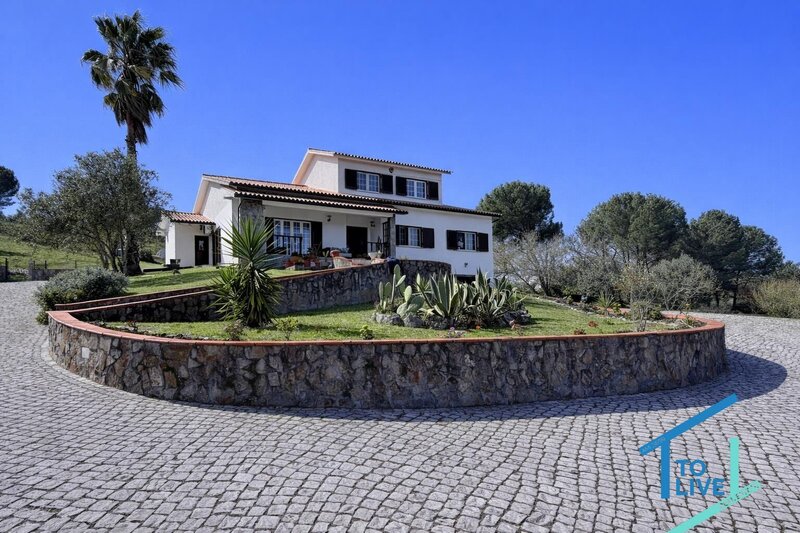 Uma casa com história, natureza e o privilégio de viver perto de tomar