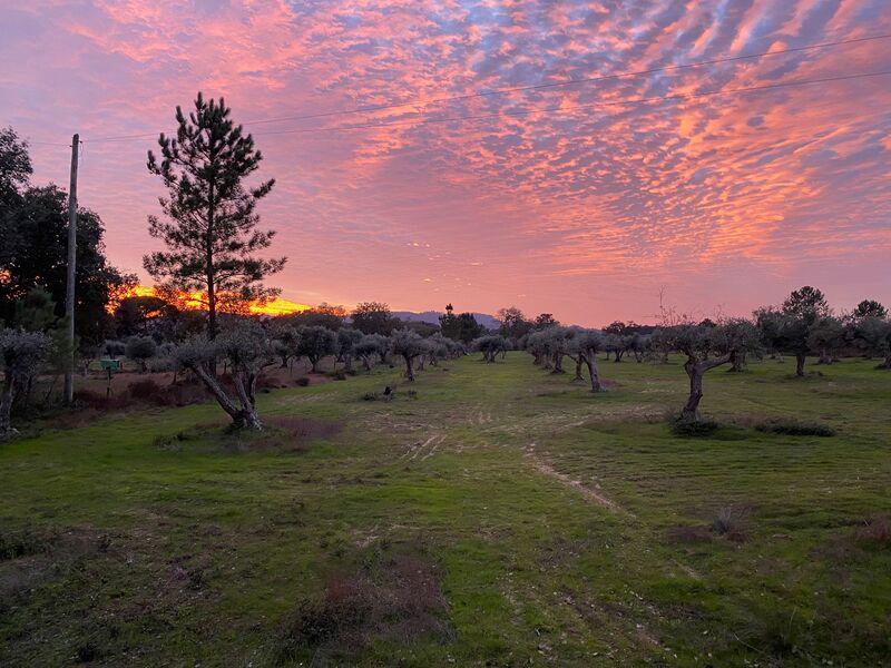 Land uusi Grândola