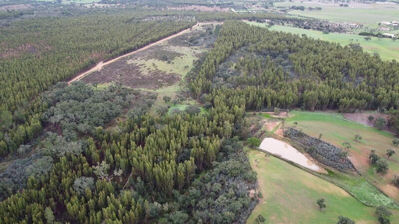 Land Rustic with 13.80sqm Vale de Água Santiago do Cacém - easy access, water, electricity, well