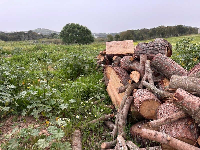 Terreno Agrícola com 79710m2 Santiago do Cacém - água, furo, sobreiros, poço