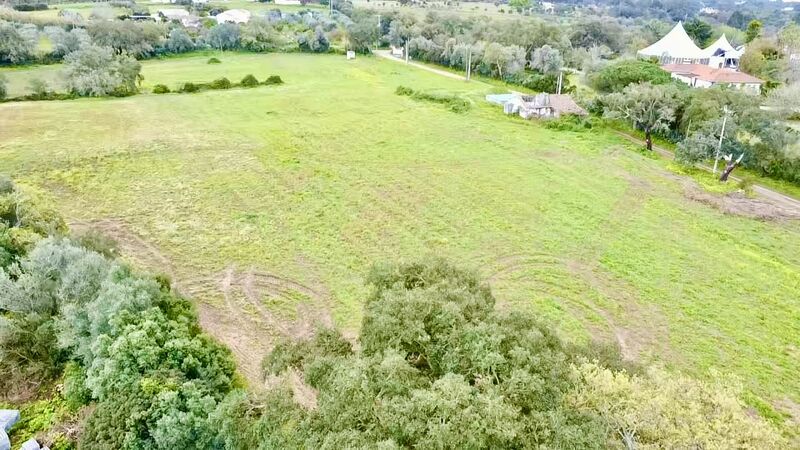Land Urban/agricultural with 27500sqm Santiago do Cacém - tank, water, cork oaks