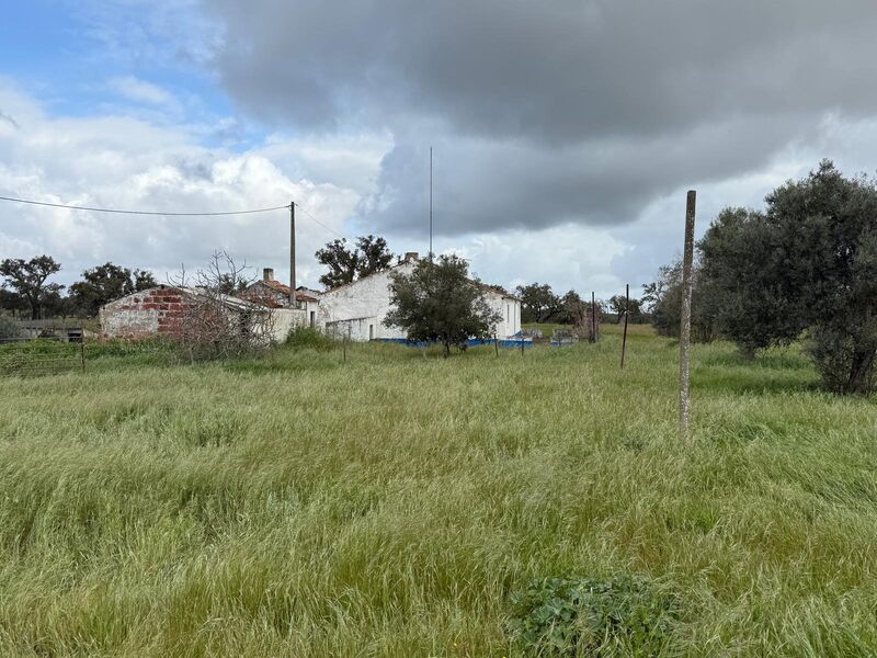 House Single storey 2 bedrooms Bicos Vale de Santiago Odemira - fireplace