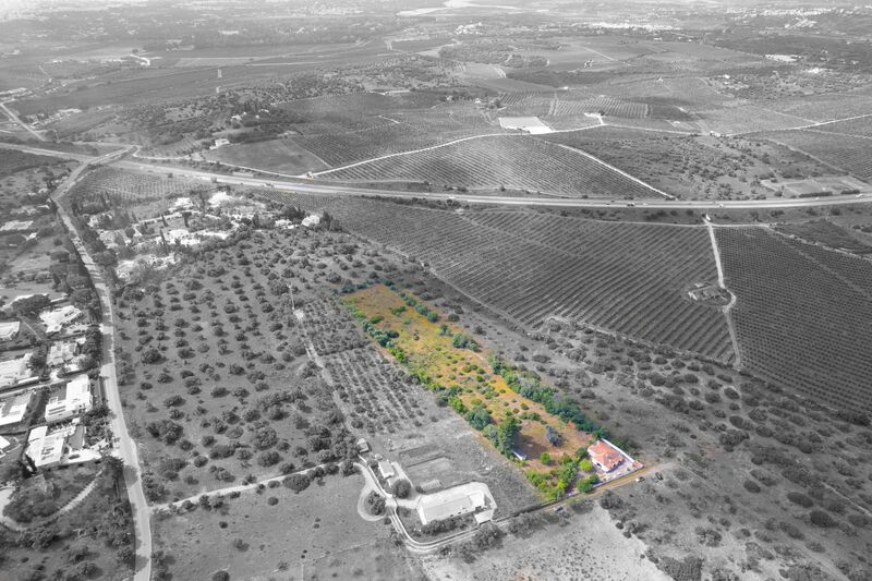 -212988324_IDf7029b01-0000-0500-0000-0000158c1787.jpg