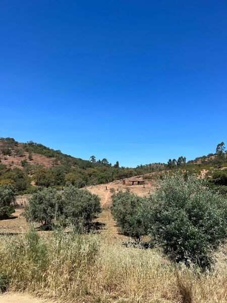 Farm Santa Luzia Ourique - well, mains water, cork oaks, water, electricity, electricity, olive trees, orange trees