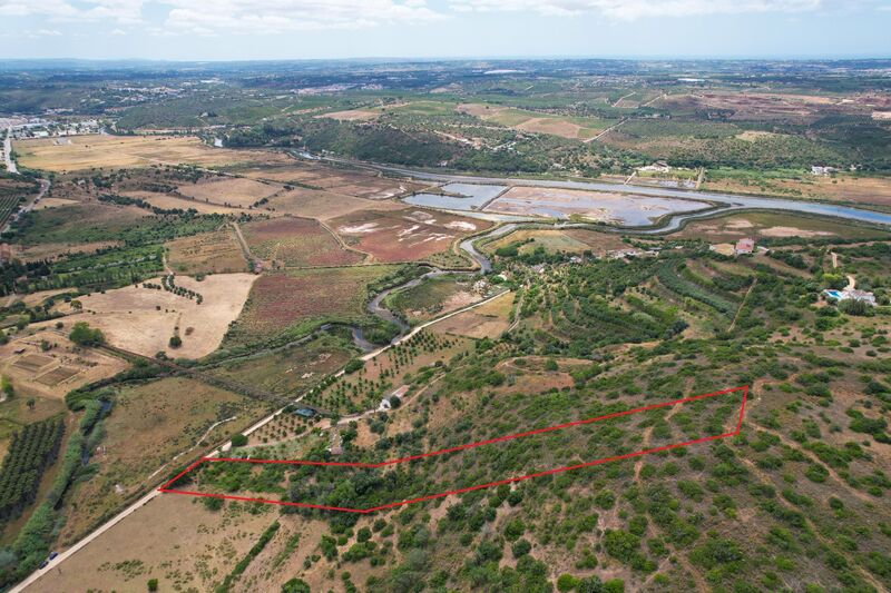 Land Urban with 7920sqm Silves - fruit trees, water