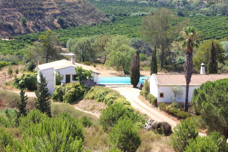 Farm Silves - ,