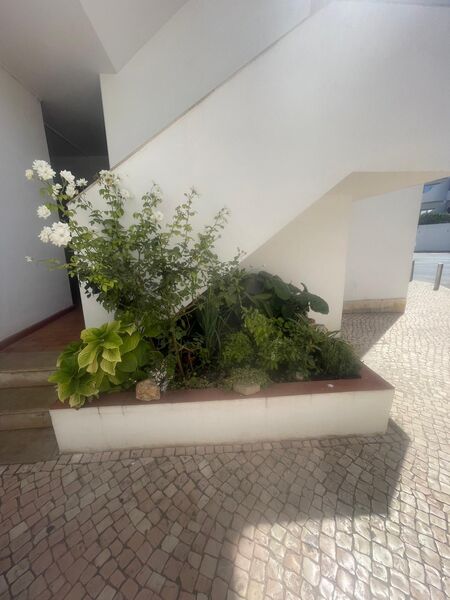 Apartment T2 São Gonçalo de Lagos - ,
