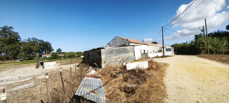 -213887387_IDf55eaa01-0000-0500-0000-000016e4e372.jpg