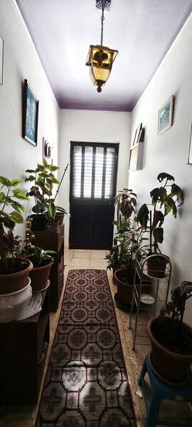 -213887387_IDf55eaa01-0000-0500-0000-000016e4e3a5.jpg