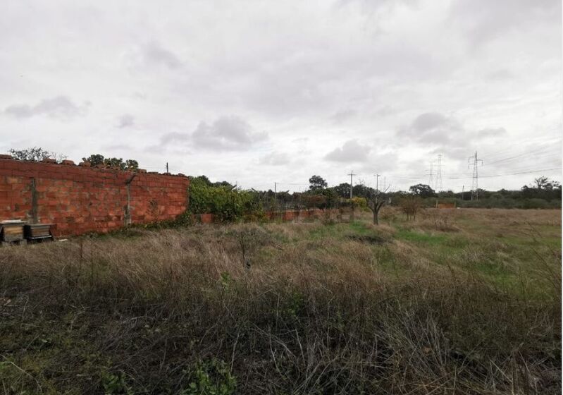 Land Rustic with 5540sqm Quinta do Anjo Palmela - easy access, well, water hole, water
