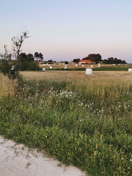 Terreno para construção Forninho Palmela