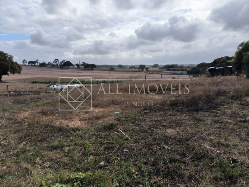 Terreno Agrícola com 26m2 Terrim Pinhal Novo Palmela