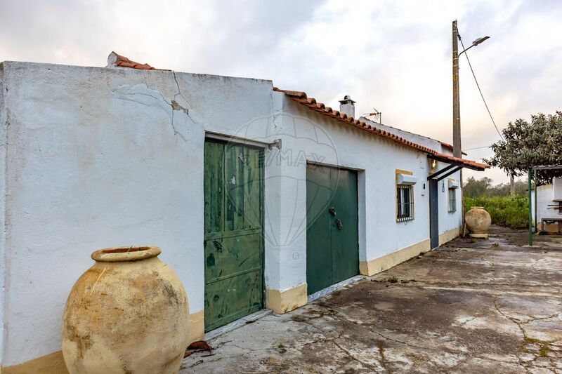 Small farm 3 bedrooms Ferreira do Alentejo - water hole, arable crop, olive trees, fireplace, mains water, well, water, electricity