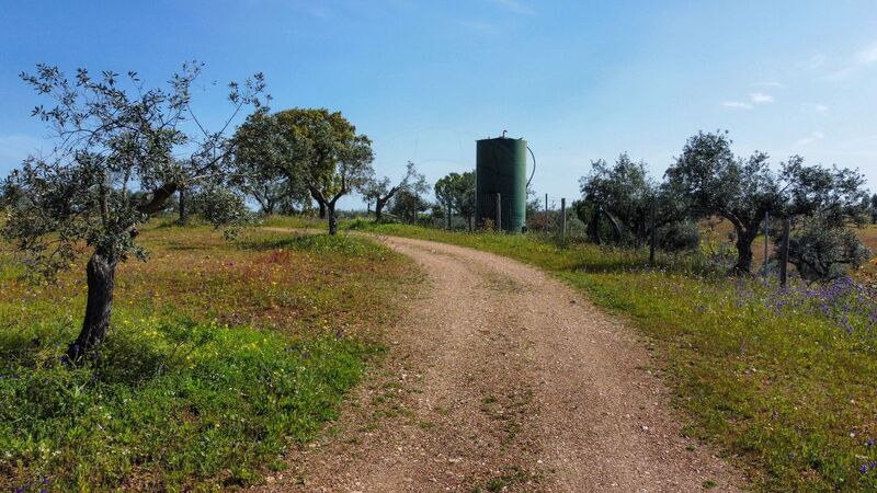 Quinta Portel - árvores de fruto, água, painéis solares, oliveiras, tanque, poço, furo, vista magnífica