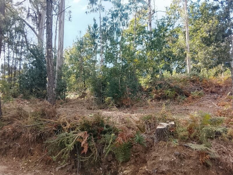 Terreno para venda, Orbacém, Caminha