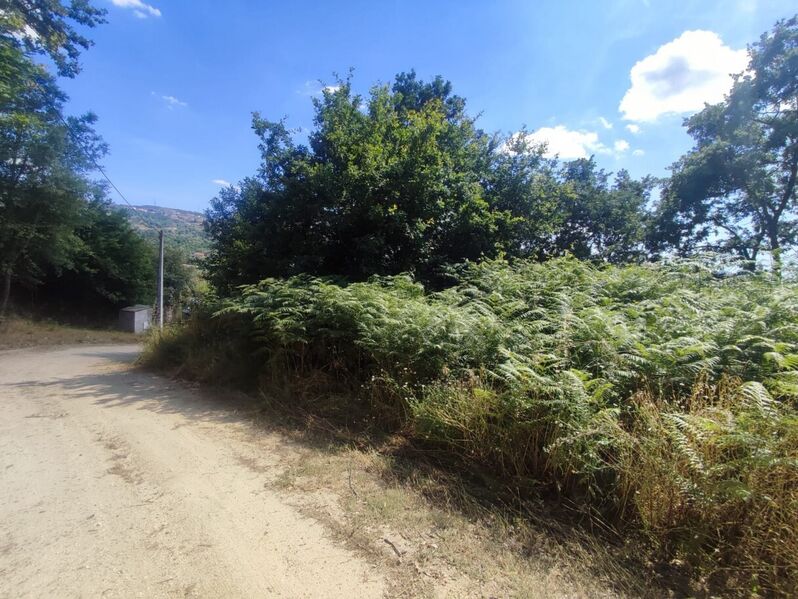 Venda Terreno com 6107m2, Soalhães, Marco de Canaveses