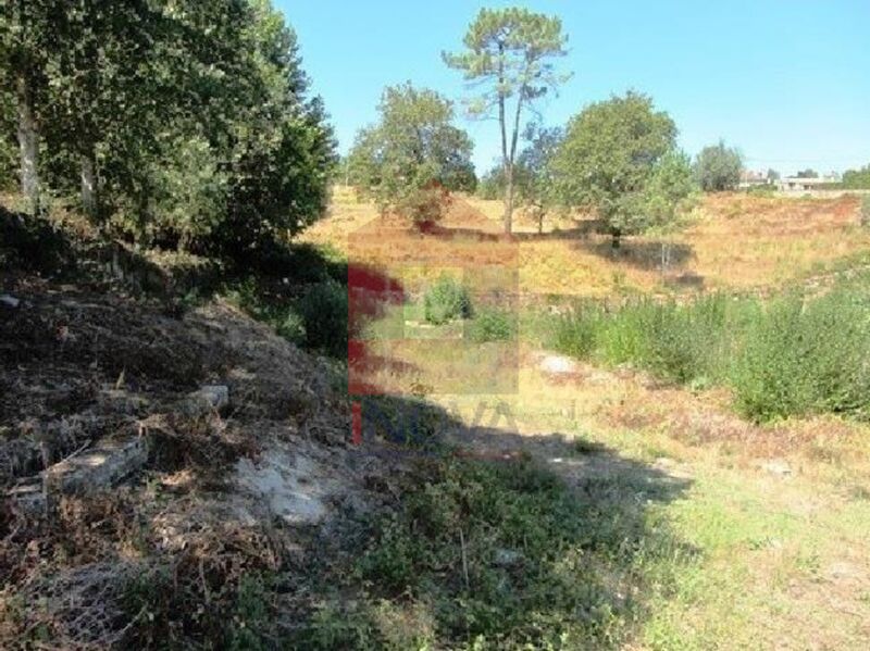 Terreno com 4000m2 Vila Verde Ponte à venda - bons acessos