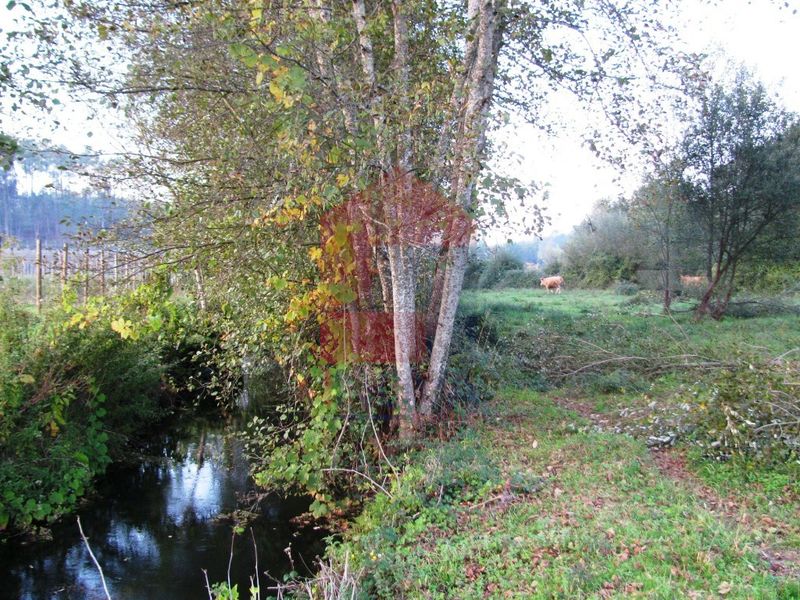 Terreno Agrícola com 5970m2 à venda Lanhas Vila Verde - bons acessos
