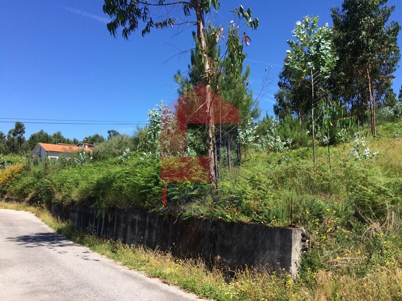 Terreno com 10050m2 Esqueiros Vila Verde para vender - bons acessos