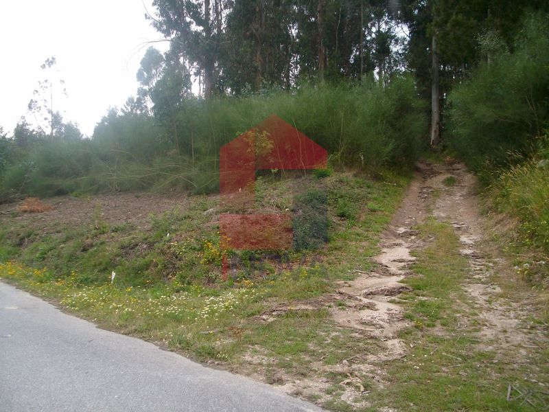 Para venda Terreno com 23000m2 Aboim da Nóbrega Vila Verde - bons acessos