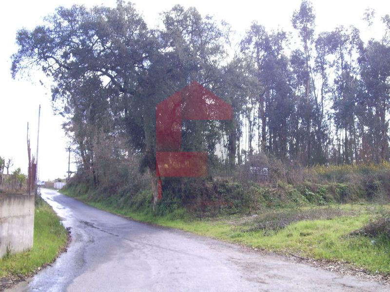 Terreno com 9000m2 Turiz Vila Verde para venda - bons acessos