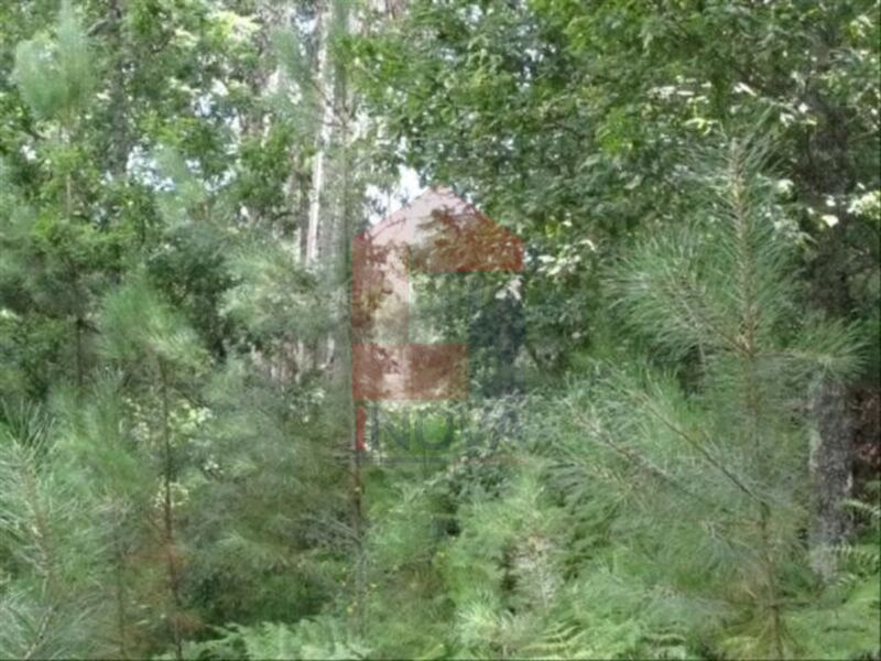 Terreno com 2000m2 Valdreu Vila Verde à venda - bons acessos