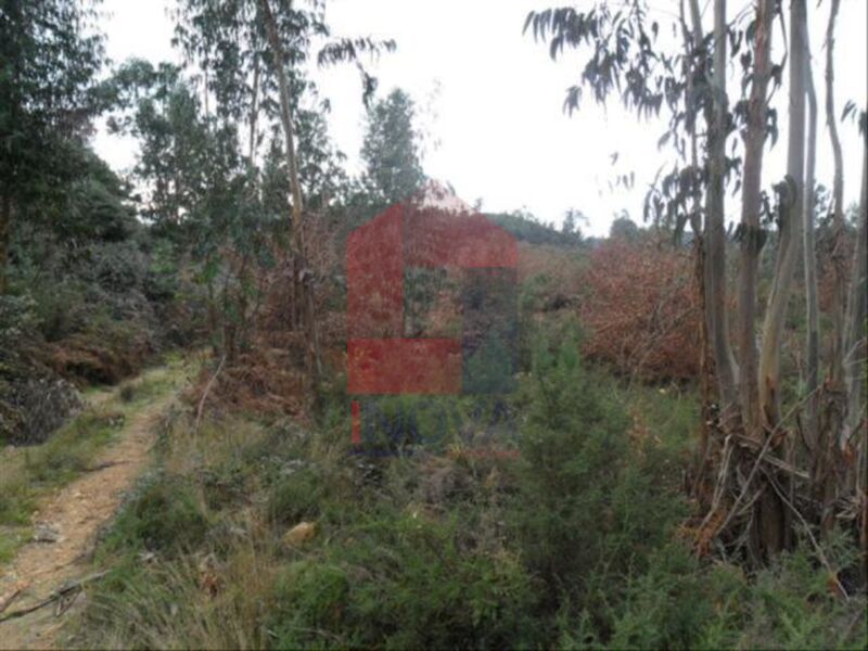 Venda Terreno com 12000m2 Cervães Vila Verde