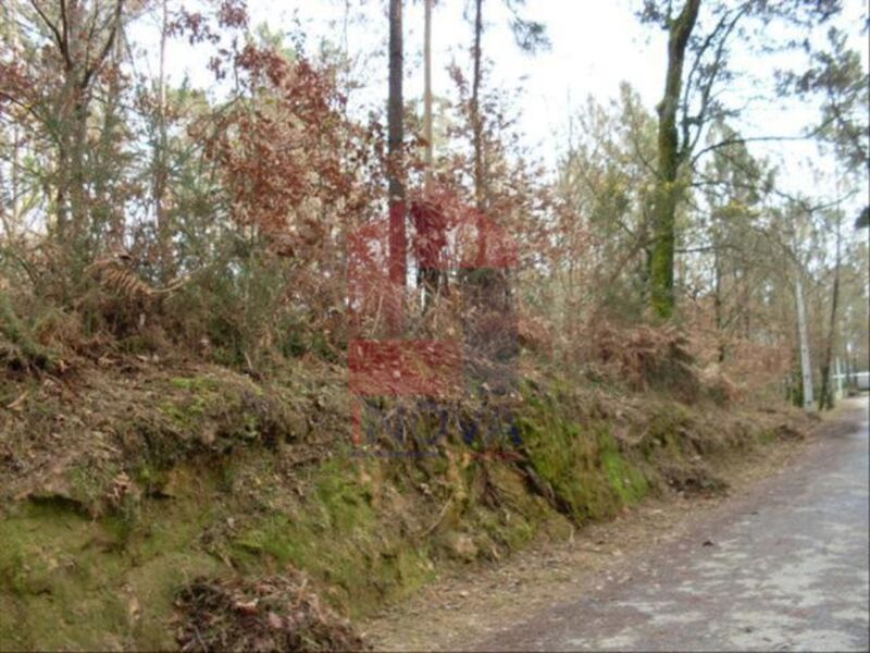 Venda de Terreno com 2000m2 Turiz Vila Verde - excelente localização