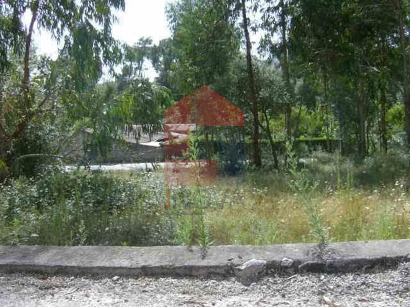 Terreno com 5230m2 Cervães Vila Verde para vender