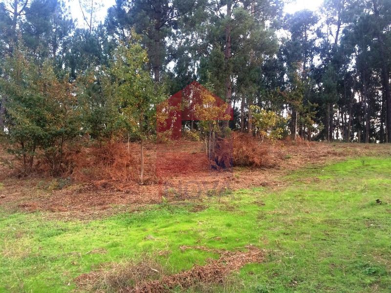 Terreno com 2500m2 à venda Carreiras (São Miguel) e Carreiras Santiago Carreiras Vila Verde - bons acessos