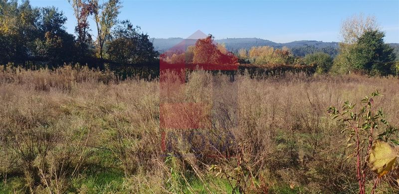 Venda de Terreno Agrícola plano Freiriz Vila Verde