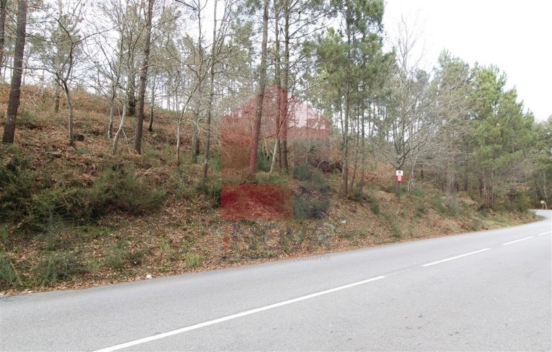 Terreno Agrícola com 4200m2 Ponte Vila Verde à venda - bons acessos