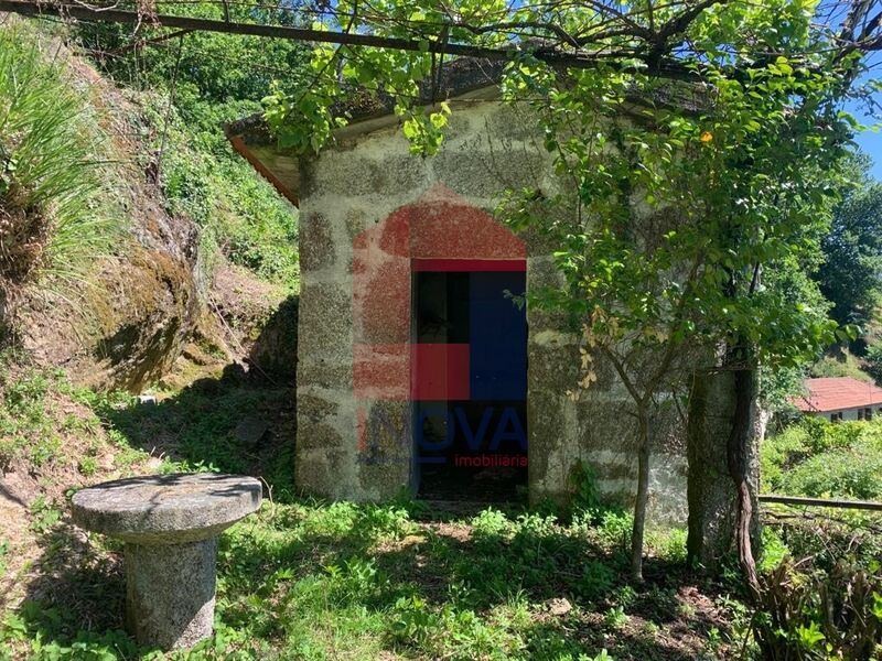 Terreno Agrícola com 19681m2 Terras de Bouro Valdosende para vender - árvores de fruto, água
