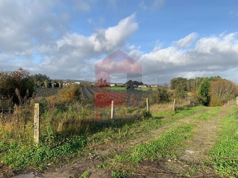 Terreno com 1990m2 Vila de Prado Vila Verde para comprar - excelente localização