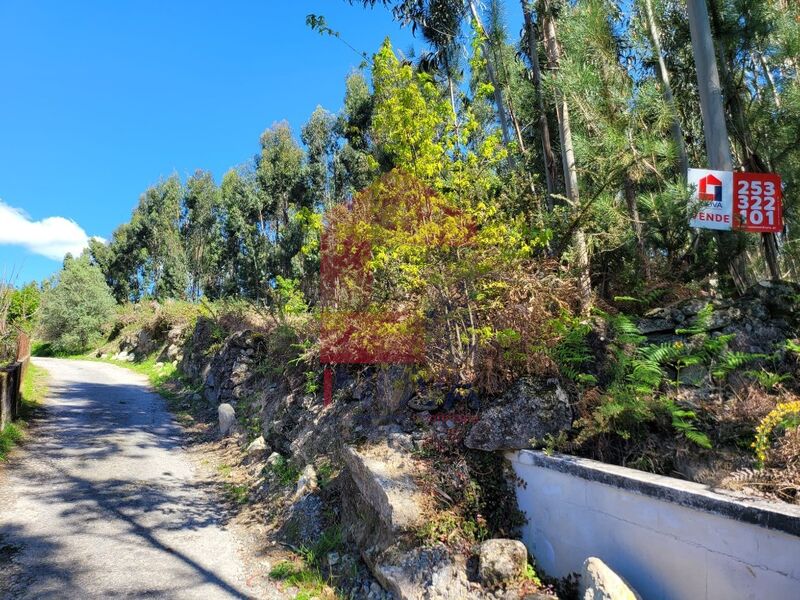 Terreno com 6997m2 Vila Verde para vender - bons acessos