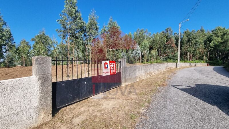 Para venda Terreno com 6139m2 Vila Verde