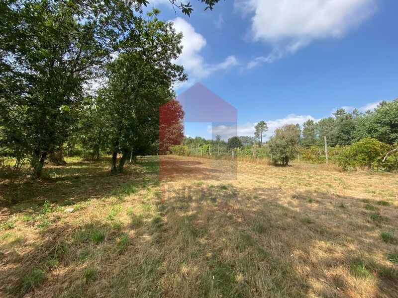 Terreno Agrícola com 4809m2 à venda Geme Vila Verde - bons acessos