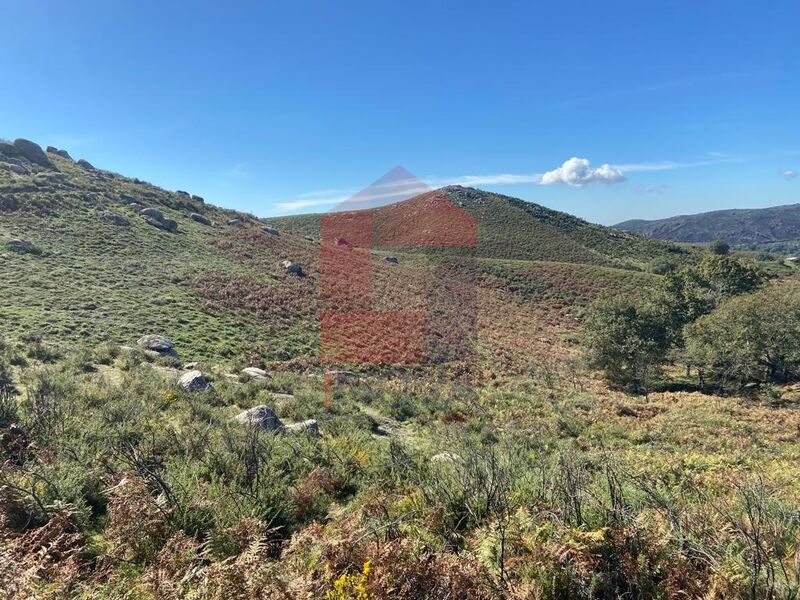 Terreno com 5200m2 para venda Valdreu Vila Verde