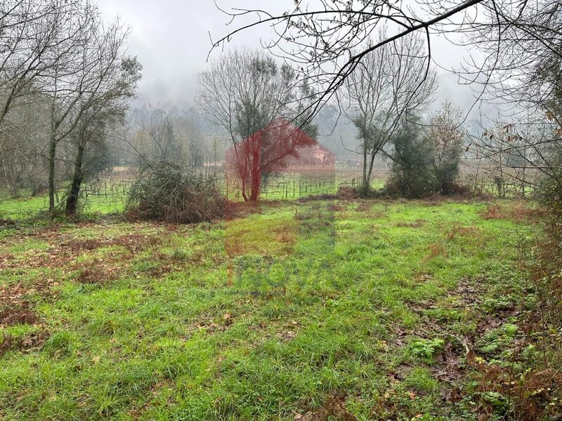Terreno Agrícola com 2720m2 à venda Vila Verde