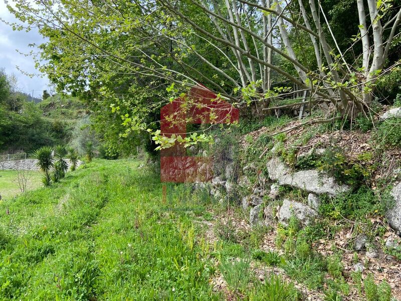Terreno Agrícola com 490m2 Valdreu Vila Verde à venda - bons acessos